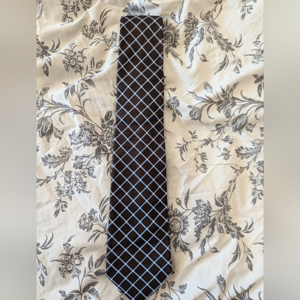 Zegna tie